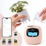 Превью Smart Plant Pot with Visual Display — Soil Moisture Sensor, PLANTSIO