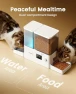 Превью Automatic Cat Feeder and Water Dispenser — Automatic Pet Feeder, oneisall