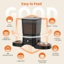 Превью Automatic Cat Feeder for 2 Cats — Automatic Pet Feeder, HoneyGuaridan