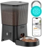 Превью Automatic Cat Feeder for 2 Cats — Automatic Pet Feeder, HoneyGuaridan