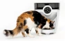 Превью Feeder-Robot Smart Automatic Pet Feeder — Automatic Pet Feeder, Whisker