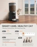 Превью AI Automatic Cat Feeder with 2K HD Dual Cameras — Automatic Pet Feeder, PETOCAT