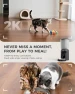 Превью AI Automatic Cat Feeder with 2K HD Dual Cameras — Automatic Pet Feeder, PETOCAT