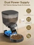 Превью Automatic Cat Feeder and Water Fountain Set — Automatic Pet Feeder, CORGOTE