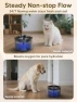 Превью Automatic Cat Feeder and Water Fountain Set — Automatic Pet Feeder, CORGOTE