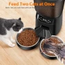 Превью Automatic Cat Feeder for Two Cats — Automatic Pet Feeder, KATALICLAB