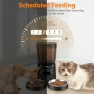 Превью Automatic Cat Feeder for Two Cats — Automatic Pet Feeder, KATALICLAB