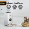 Превью Automatic Cat Feeder for Two Cats — Automatic Pet Feeder, Voluas