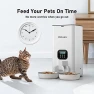 Превью Automatic Cat Feeder for Two Cats — Automatic Pet Feeder, Voluas