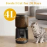 Превью Automatic Cat Feeder with Camera — Automatic Pet Feeder, FansaFurn