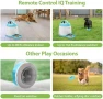 Превью Automatic Dog Treat Dispenser — Automatic Cat Toy, PETGEEK