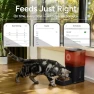 Превью Automatic Pet Feeder with Camera — Automatic Pet Feeder, MOLLY&CODY