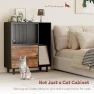 Превью Cat Feeding Station Furniture with Storage and Scratching Board — Automatic Pet Feeder, Qiaoxuan