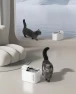 Превью Cordless Cat Water Fountain with Motion Sensor — Cat Water Fountain, PETKIT