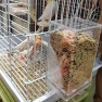 Превью No Mess Bird Cage Feeder with Perch — Smart Bird Feeder, Hamiledyi