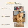 Превью Smart Automatic Cat Feeder and Water Fountain — Automatic Pet Feeder, ARENTI