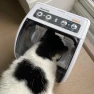 Превью Smart Selective Microchip-Activated Automatic Pet Feeder — Automatic Pet Feeder, Closer Pets