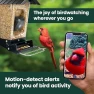 Превью Solar Powered Smart Bird Feeder with Camera — Smart Bird Feeder, Perky-Pet