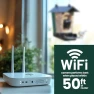 Превью Solar Powered Smart Bird Feeder with Camera — Smart Bird Feeder, Perky-Pet
