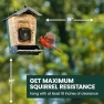 Превью Solar Powered Smart Bird Feeder with Camera — Smart Bird Feeder, Perky-Pet