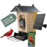 Превью Solar Powered Smart Bird Feeder with Camera — Smart Bird Feeder, Perky-Pet