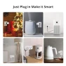 Превью 16A WiFi Dual Smart Outlet Plug with 2 Independent Control Sockets — Smart Plug, RODOT