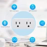 Превью 16A WiFi Dual Smart Outlet Plug with 2 Independent Control Sockets — Smart Plug, RODOT
