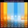 Превью Hue Smart LED A19 Bulb 2-Pack, White Color Ambiance — Smart Light Bulb, Philips