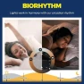 Превью Smart E12 Candle Bulbs with RGBCW — Smart Light Bulb, Lightinginside