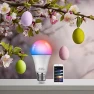 Превью Smart Light Bulb — Smart Light Bulb, ZMFUTY