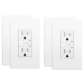 Превью Smart Wall Outlet, 2 Individually Controlled Ports, 15Amp TR Receptacle — Smart Plug, junlit
