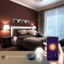 Превью Smart WiFi Alexa Light Bulb, LED RGB Color Changing Bulbs — Smart Light Bulb, Peteme