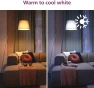 Превью Smart 150W A23 LED Light Bulbs 4-Pack — Smart Light Bulb, Philips