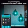 Превью Smart LED A19 Bulb 2-Pack, White and Color Ambiance — Smart Light Bulb, Philips