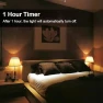 Превью Smart LED Light Bulb with Remote Control — Smart Light Bulb, GRV