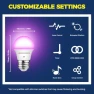 Превью Smart Light Bulbs 50W Equiv., G16.5 A15 RGBCW — Smart Light Bulb, Lightinginside