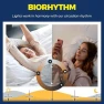 Превью Smart Light Bulbs 50W Equiv., G16.5 A15 RGBCW — Smart Light Bulb, Lightinginside