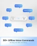 Превью SmartVoice 2-in-1 Dual Smart Plug Outlet — Smart Plug, Emerson