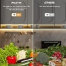 Превью COB LED Strip Lights — LED Strip Lights, PAUTIX