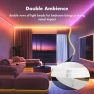 Превью Double Row RGB Strip Lights 100FT — LED Strip Lights, RITOAO