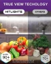 Превью LED Strip Lights, Cool White 5000K, 16.4ft High Density — LED Strip Lights, HitLights
