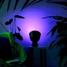 Превью Smart Flood Light Bulb PAR38 — Smart Light Bulb, LIFX