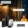 Превью WiFi Dimmable Vintage LED ST21 Edison Smart Bulb — Smart Light Bulb, LVWIT
