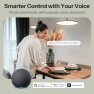 Превью Mini Duo Smart Switch, 2-Channel — Smart Switch, Sonoff