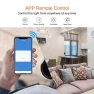 Превью Smart Light Switch 2 Gang WiFi — Smart Switch, Milfra