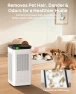 Превью Air Purifier for Home Large Rooms up to 3500 sq ft — Air Purifier, SIESEAN