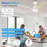 Превью 52" Smart Ceiling Fan with Lights — Smart Fan, Lorpies