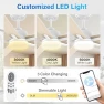 Превью 52" Smart Ceiling Fan with Lights — Smart Fan, Lorpies