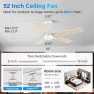 Превью 52" Smart Ceiling Fan with Lights — Smart Fan, Lorpies