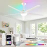Превью 56'' Smart Ceiling Fan with RGB Lights — Smart Fan, Fanbulous